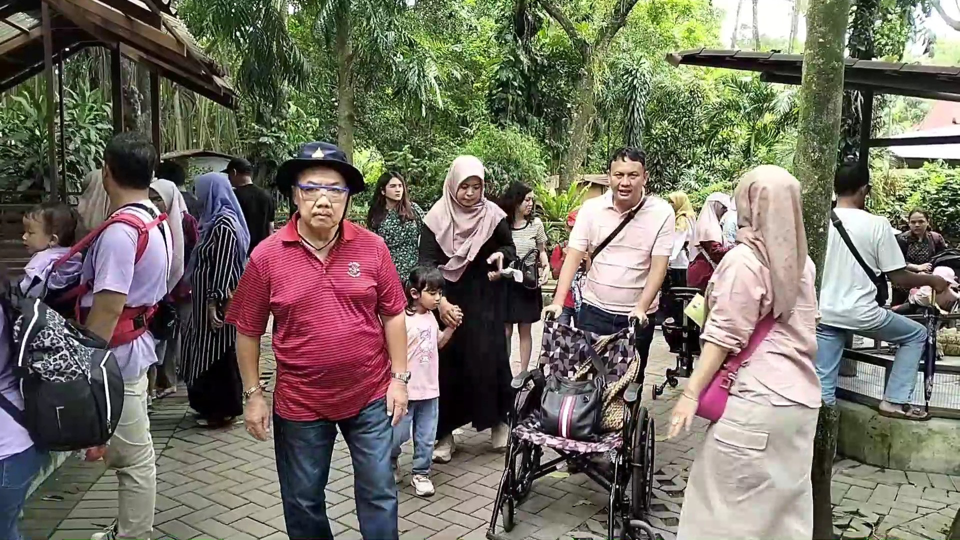 Libur Imlek dan Isra Miraj, Kunjungan Wisatawan di Kebun Binatang Gembira Loka Zoo Naik 2 Kali Lipat