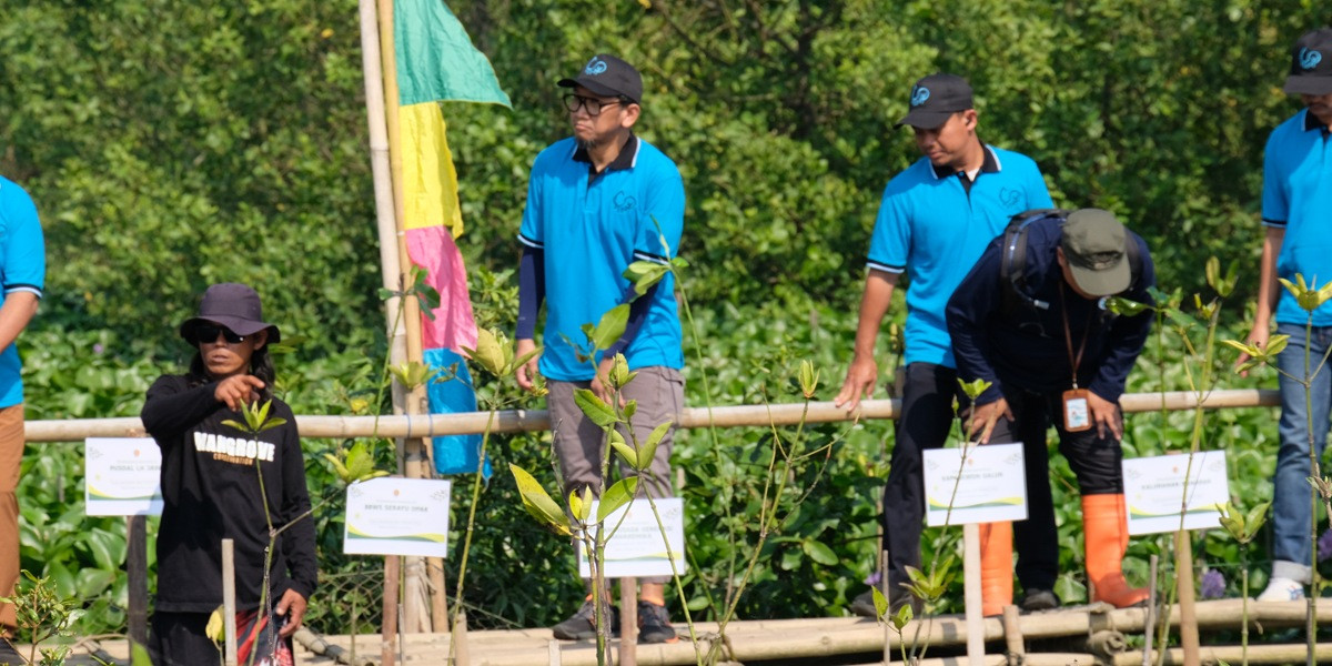 Lawan Krisis Iklim: DIY "Serbu" Pesisir Kulon Progo, Ribuan Mangrove Ditanam