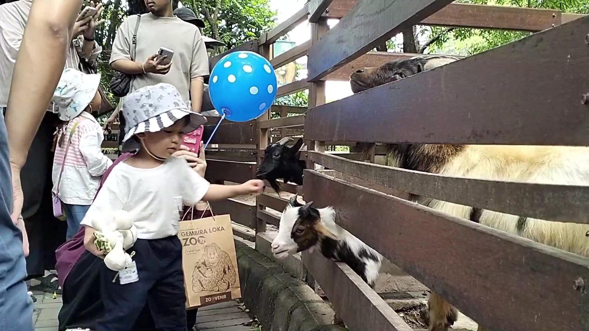 Imlek and Isra Miraj Holidays, Visitor Numbers at Gembira Loka Zoo Yogyakarta Increase by 2 Times