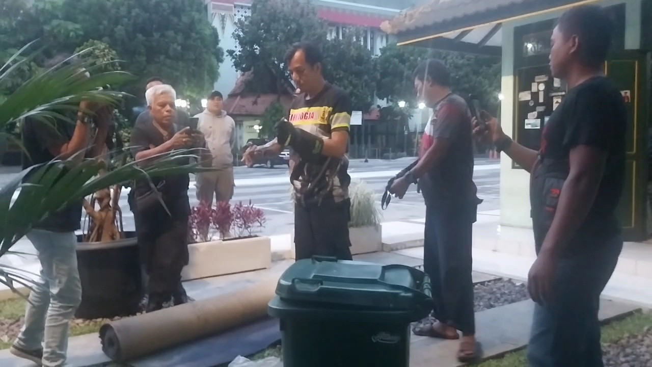 Jelang Buka Puasa, Ular Sowo Kopi Nyelonong Masuk Ruang Pawarta di Balaikota Yogyakarta